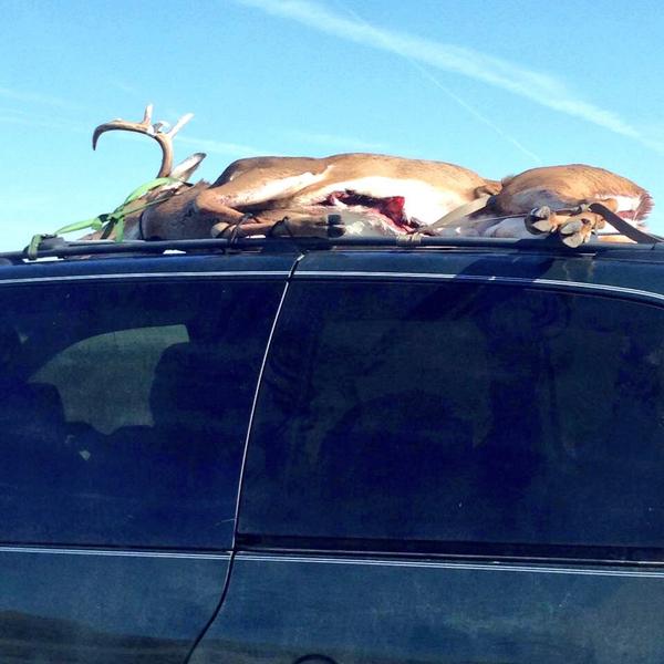 DruryOutdoors's tweet image. Check this out: Hauling a big buck on a mini-van... Redneck or just dedicated?! LOVE IT!