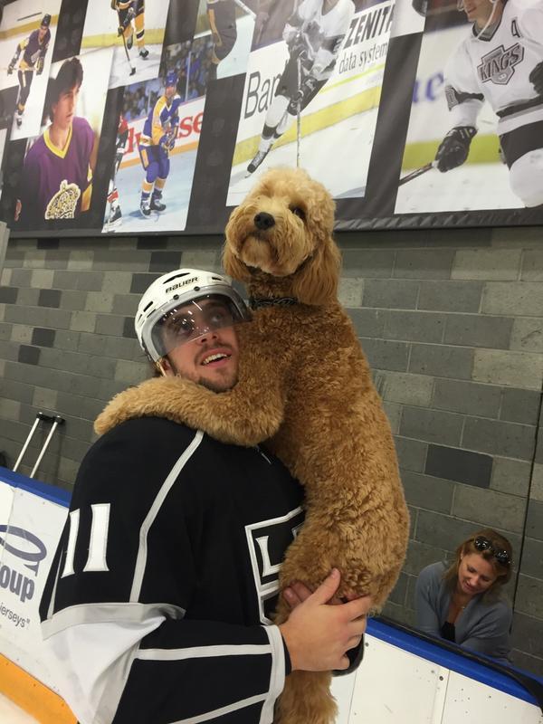 JacyBourque22's tweet photo. (Photo credit: @BaileyLAKings) #Gustl http://t.co/CZHriI7ob2” @ShanarchyM