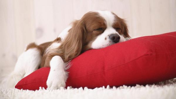 ChristinJoyeria's tweet photo. #BuenasNoches 
http://t.co/oVYkB9AXb2 http://t.co/NP0dPDg0xd