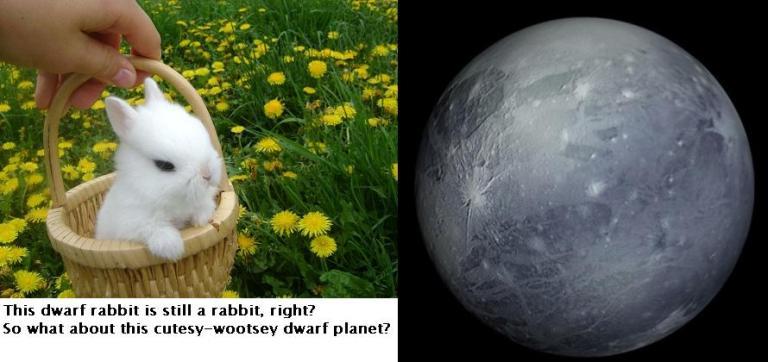 Dwarf Rabbit Planet