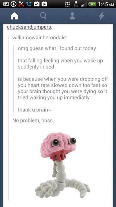 NotCorruptMedia's tweet photo. When you feel like you're falling in your sleep... http://t.co/mlcmUohZfq