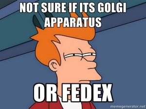 GOLGI2apbio's tweet photo. #gogolgi http://t.co/FUj7U6nxE0