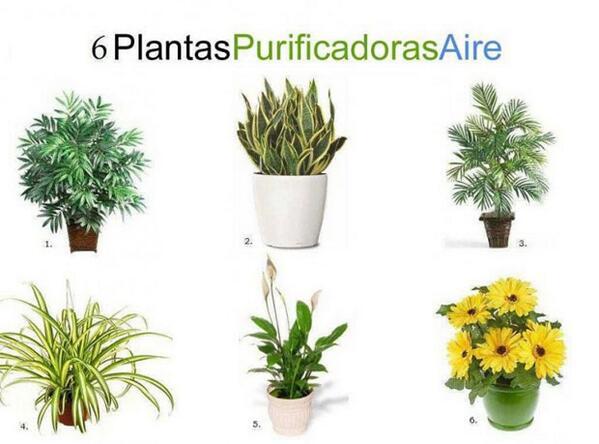 Arq Sustentable tweet media