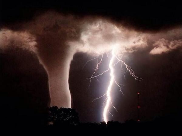 poetreats's tweet photo. Zzith! Knife &amp; Fork! ~ 
#ThxRT “@RitaKaratzia
Nature is the best "artist"on earth!
RD @herbertmatteie 👍 http://t.co/tRjN0NQXLB #nature #art”