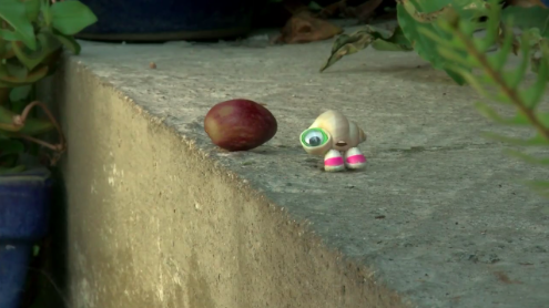 hseekins's tweet photo. “@BuzzFeed: There’s a new “Marcel The Shell” video and it’s freaking adorable
http://t.co/5J8PgVjk0T http://t.co/QhLeTRiGzm” @meganmgunther