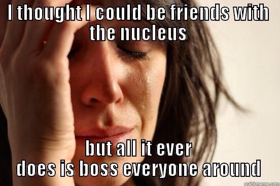 PEROXISOME2ap's tweet photo. @NUCLEUSapbio2 #organellewars #whyyougottabesorude http://t.co/riybt6yJlr