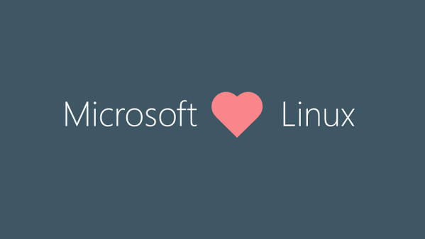 Microsoft News and Stories tweet media