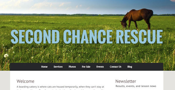 breederoo's tweet photo. New design tools! Custom header font colors for any preset theme. Use your barn or kennels color right in your design http://t.co/iJ8i4owTwR