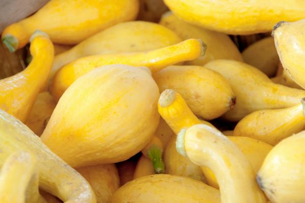 Chili made with this ingredient provides a surprisingly sweet flavor: bit.ly/1FrYcEM