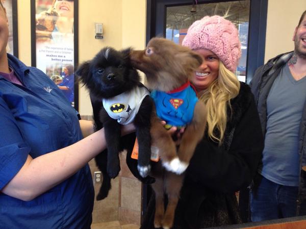 d092b834ea7e4ac's tweet photo. #petexpressions store 590 east petm Koda and Lukka are ready for trick or treating!!! http://t.co/bYPA2lMGAp
