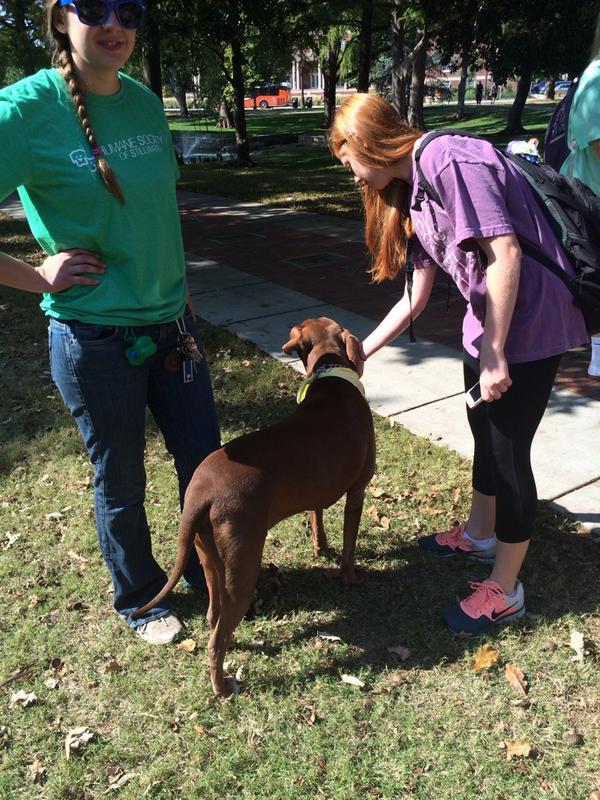 MeghannBennett's tweet photo. Makin friends #puppypalooza @okbeta http://t.co/FiMn6A1EJs