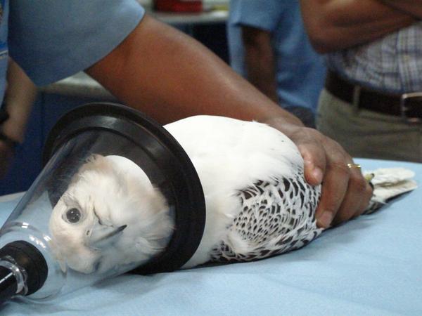 Helene Goderis tweet media