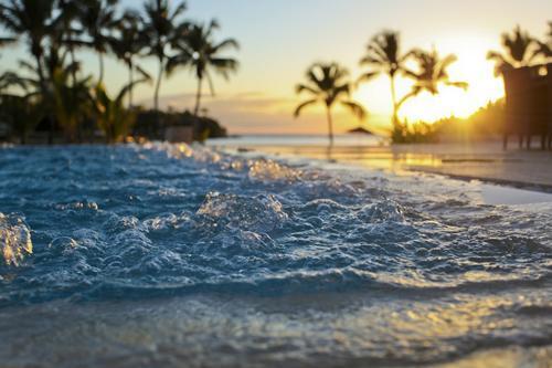 NatuPictures's tweet photo. Vida, sol, playa http://t.co/Tv2kCEMdnj