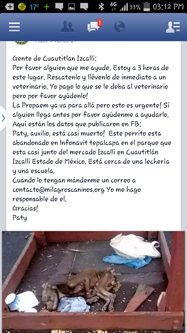 Ayuda!!!! Porfavor rt