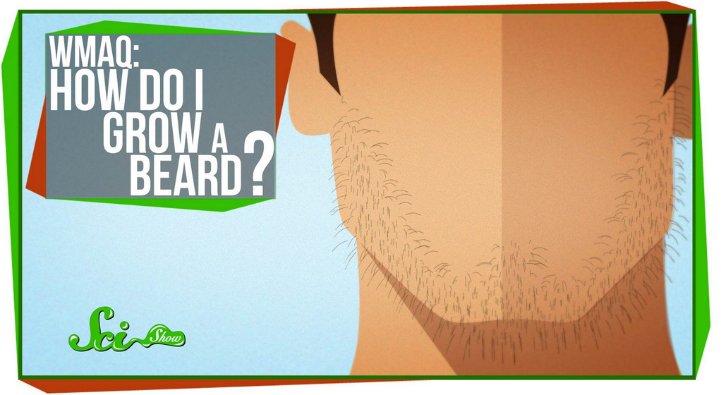 Közvetlen hivatkozás a képhez