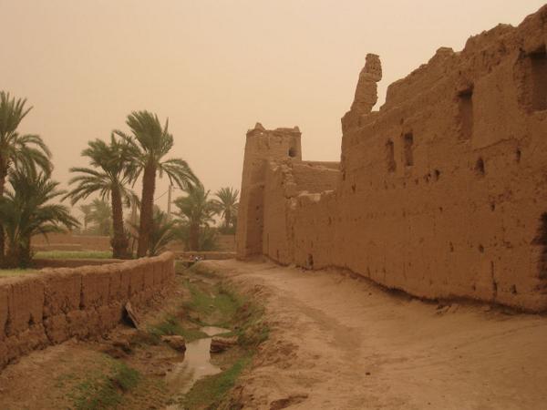 terrasseouarz's tweet photo. #Tagounite, avant M'Hamid, importante oasis d'une douzaine de ksour, déjà le désert et les dunes | Photo Dana http://t.co/EuygoK4cjz