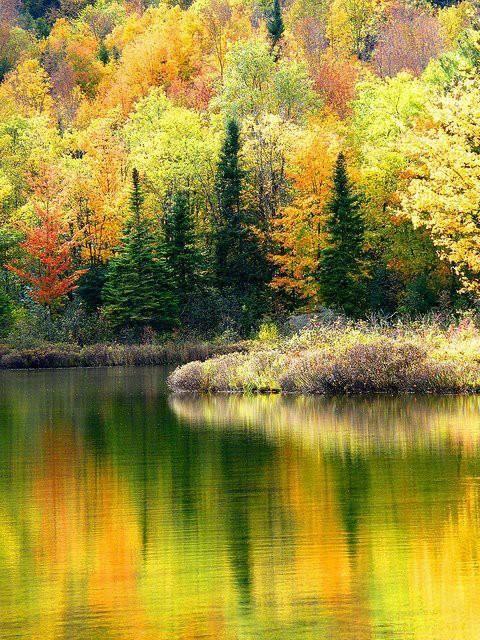 EL OTOÑO SE ACERCA CON MUY POCO RUIDO...* - Página 17 B0azz0HCUAEvuXb