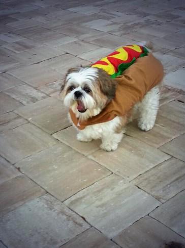 My favorite holiday🎃