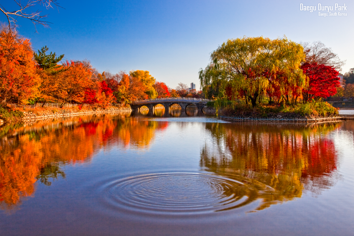 VisitKorea on Twitter: "The beautiful #fallcolors of Daegu Duryu Park: http://t.co/eXjjzyB16m #VisitKorea http://t.co/LOqYtneU5W" / Twitter
