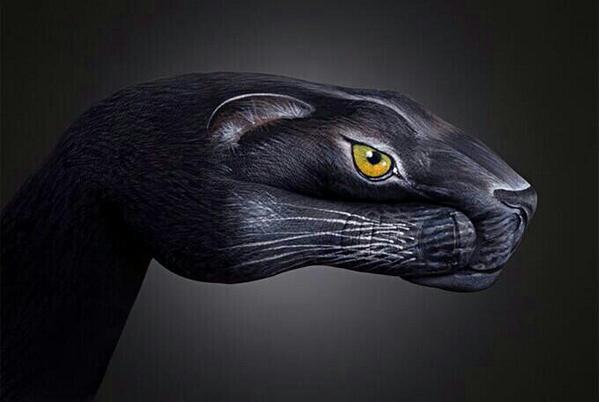 azimoff (@azimoffb) on Twitter photo 