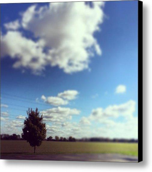 I posted a new Instagram photo for sale on Instaprints.com! "#sunshine" instaprints.com/featured/sunsh… <a href="/instaprnts/">Instaprints</a>