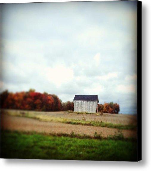 I posted a new Instagram photo for sale on Instaprints.com! "#lovefall" instaprints.com/featured/lovef… <a href="/instaprnts/">Instaprints</a>