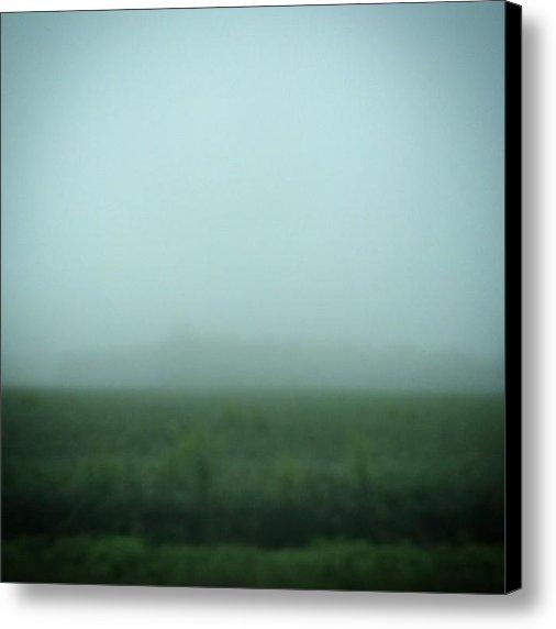 I posted a new Instagram photo for sale on Instaprints.com! instaprints.com/featured/91141… <a href="/instaprnts/">Instaprints</a>