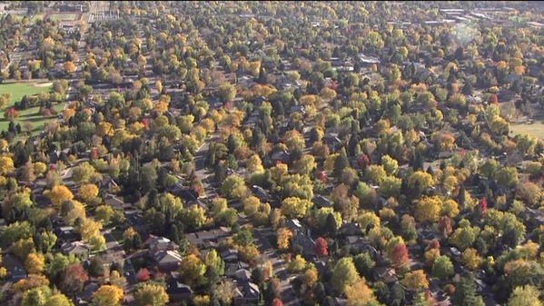 KDVR's tweet photo. One great way to see #cofall in #Denver is from our helicopter SkyFOX. #cowx http://t.co/tLgDntV9Cj