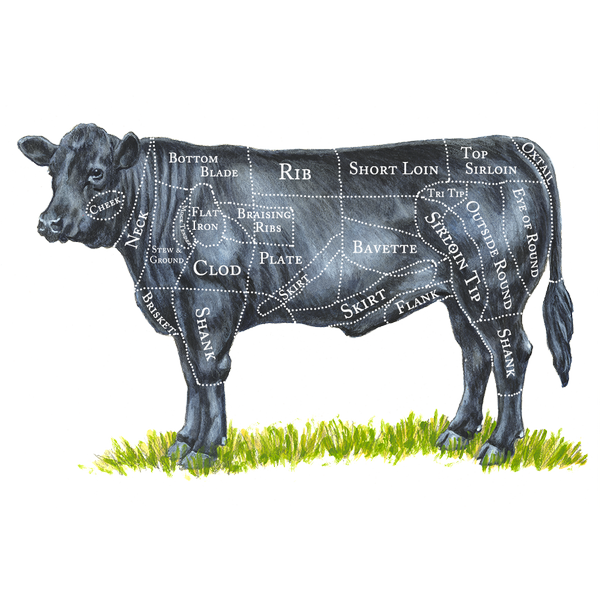 The Healthy Butcher tweet media