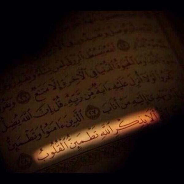 aj_twi's tweet photo. ---
--- 
 تم الإرسال بواسطة واتساب http://t.co/u5RbqT6Yap