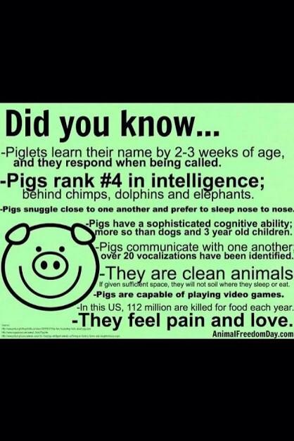 It's not just our companion animals that connect and feel love - or pain. Make it a #MeatlessMonday &amp; choose #vegan.