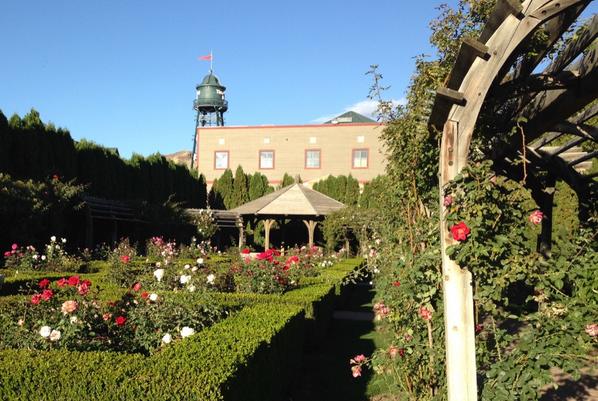 LorieMillward's tweet photo. #fallamazingness @thanksgivinpoint http://t.co/4OtvimGUmx