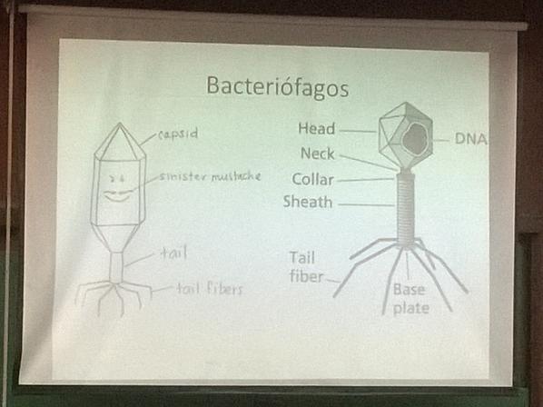 EmilyBlame's tweet photo. "sinister mustache" #GeneticaI #Bacteriofagos http://t.co/y7gARs2Qtk