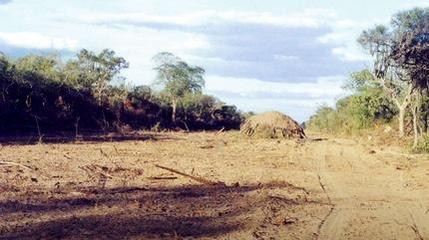 manuelcuenca's tweet photo. Indígenas paraguayos responden a la BBC tras ser presentados como ‘atrasados' http://t.co/2DuCduFuwo http://t.co/EYkIweVXNX