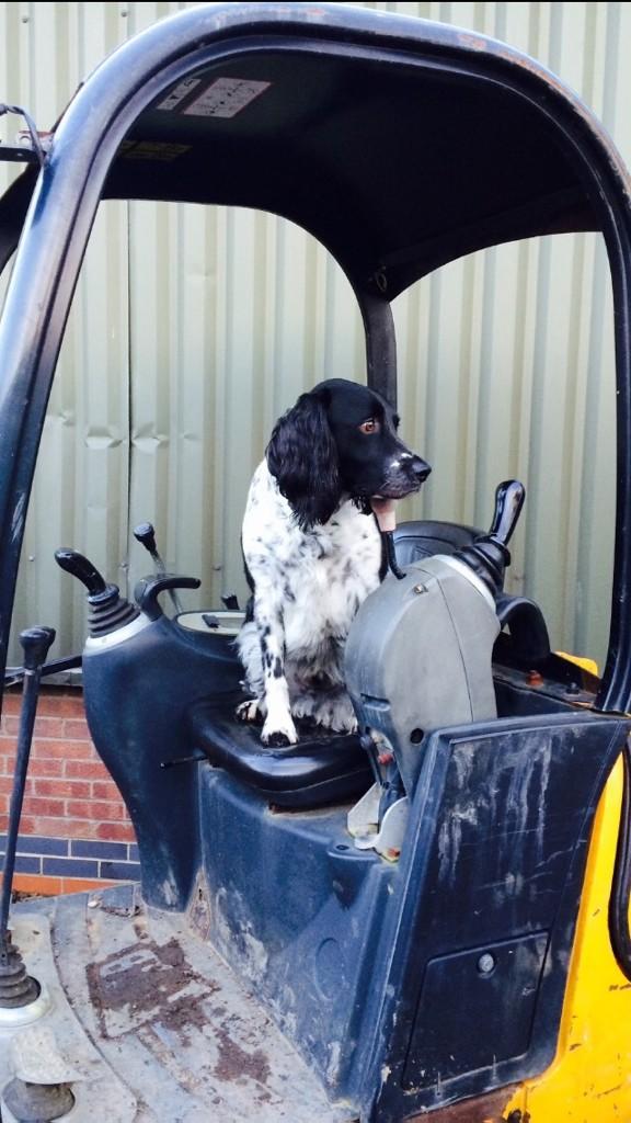 SkywalkerClark's tweet photo. Work with Dad xx http://t.co/tREJQbPQgu