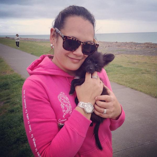 HIPCROWN's tweet photo. Pepper the teacup chihuahua, she's part of a family traveling with the #gypsyfair in #NapierNZ this weekend http://t.co/0EpIXYeS19