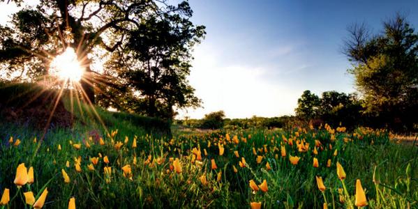 Door zelf recht te gaan staan. “<a href="/soChicken/">soChicken</a>: Hoe voorkom jij dat mensen over jou heen lopen? ”