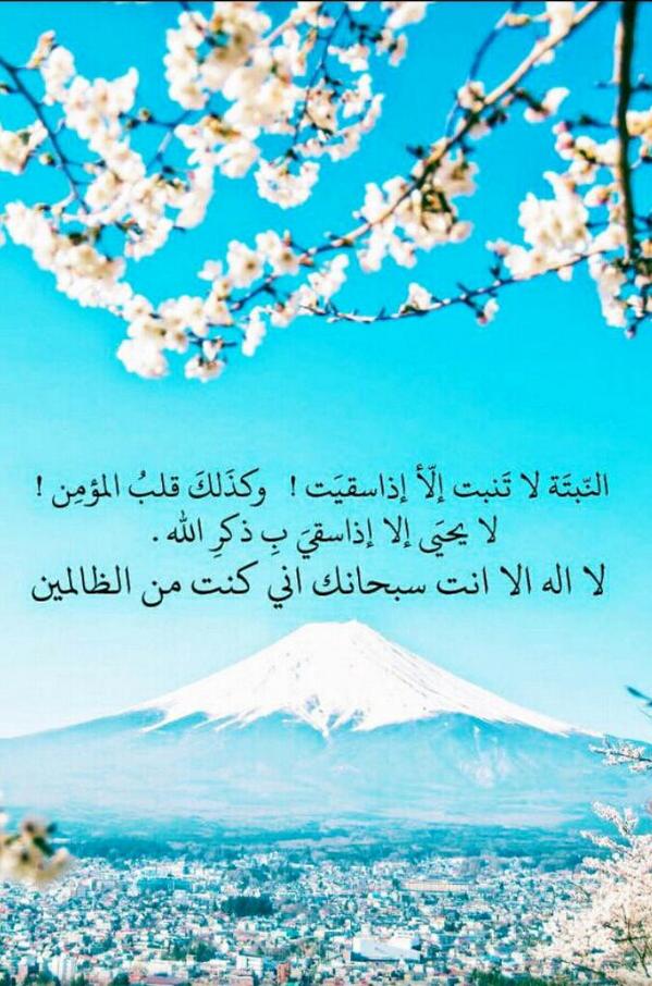 usert6 tweet picture