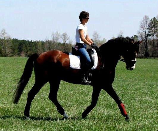 Dreaming of this day again