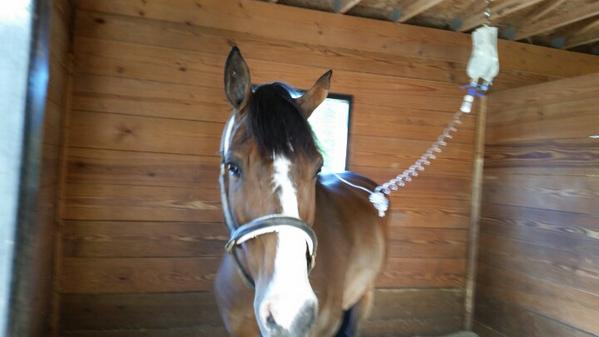 :)...getting better!!!!