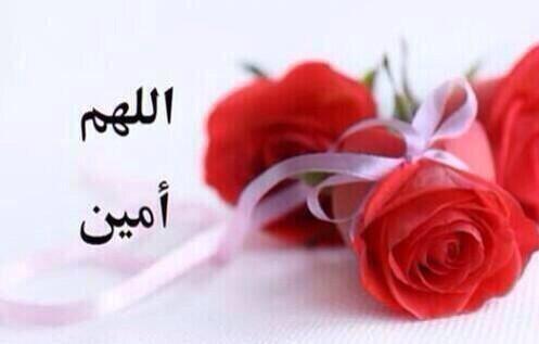 nahedm48 tweet picture