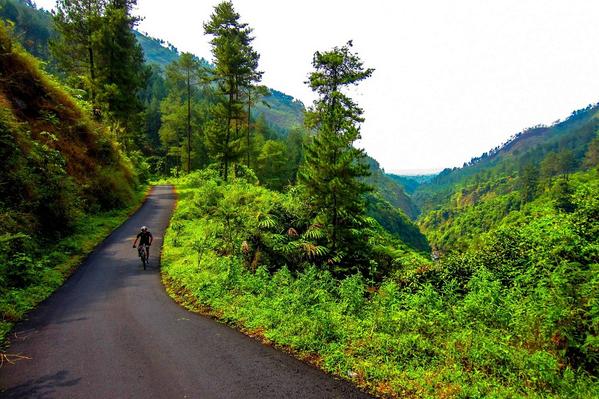 eight bolt tweet media