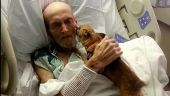 NoticieroAnimal's tweet photo. #EEUU Amor perruno: hombre presenta increíble mejoría de salud tras visita de su mascota. http://t.co/0HNhz5Q2o2 http://t.co/xhz7JkmFQX