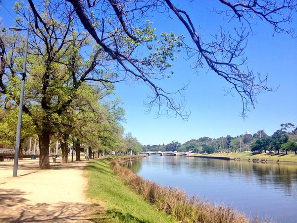GeorgiaLove71's tweet image. Pretty happy to have my running shoes on today..#springinMelbourne #loveMelbourne 💛☀👏😊