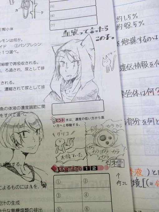 生物のワーク このページおかしい(確信)
※犯人は自分 