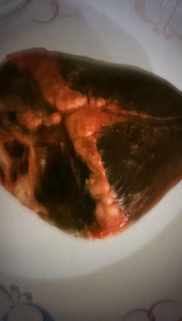 bradystevens96's tweet photo. Post workout meal! Deer heart!
#RickGainsBitch http://t.co/cDa3XYP2KL