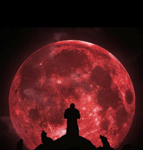 khalidsalim2011's tweet photo.  "ولي خطوات بعدُ في الدرب 
سأقطعها وثباً وأخضّبها دما!" http://t.co/fQ50g9OySn