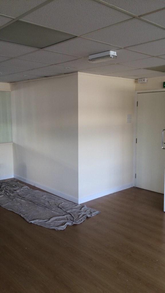 Randomzinfo's tweet image. Disabled toilet built and painted #RandomzProgress