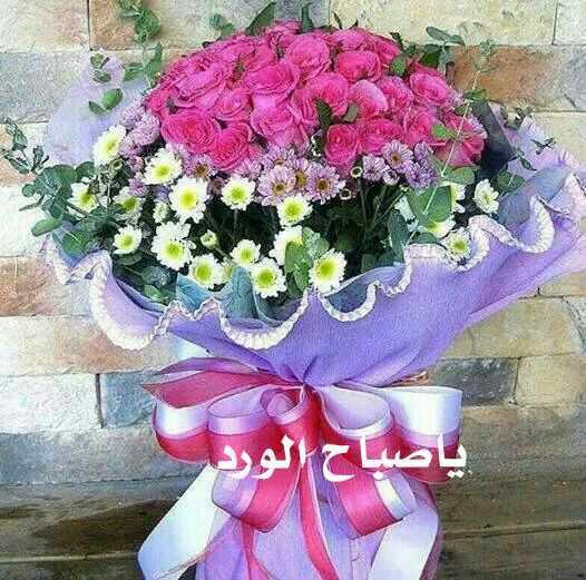 حسن صقر (@hassansaqarr) on Twitter photo 
