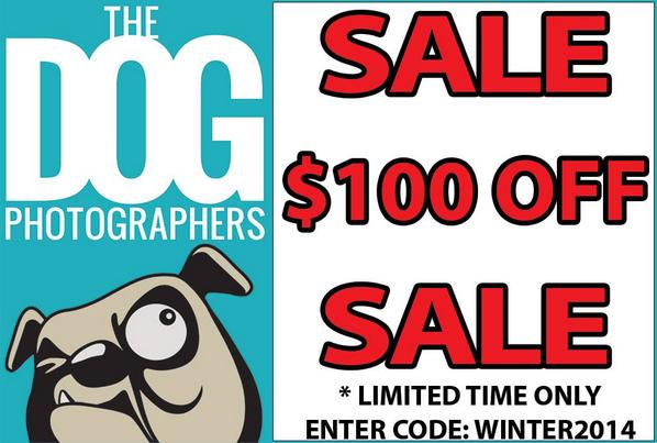 TheDogPhotog's tweet photo. http://t.co/5lAXGBI7H2